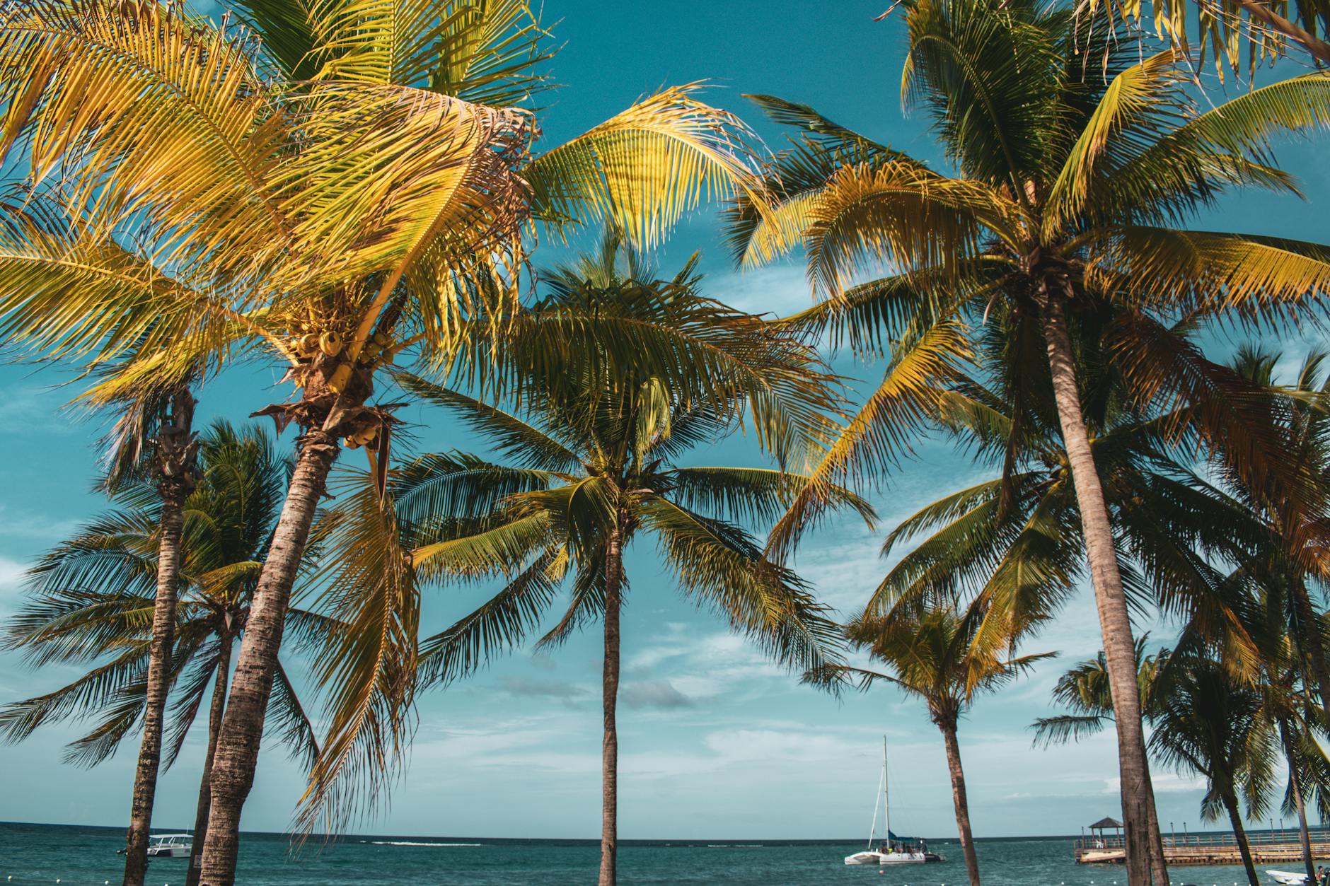 How to Sell Jamaica: A Travel Agent's Destination Selling Guide