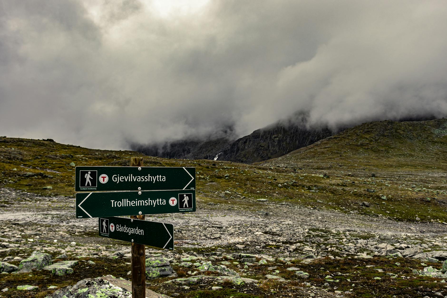 How to Sell Norway: A Travel Agent's Destination Selling Guide