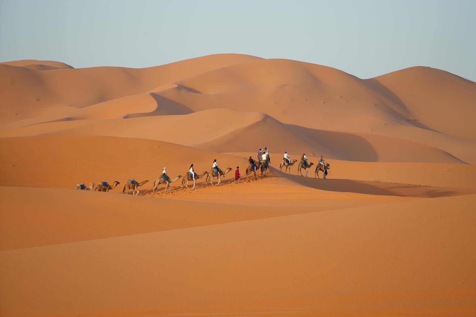 Morocco Training Programme for Travel Agents